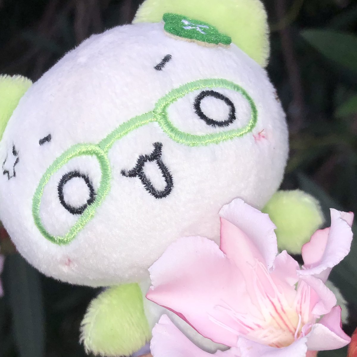 Mage (@Ifykyk77777) / Posts / X