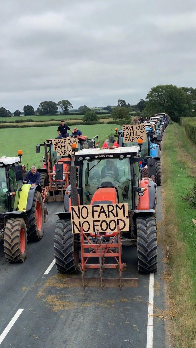 THE IRISH REBEL 🍀 tweet media