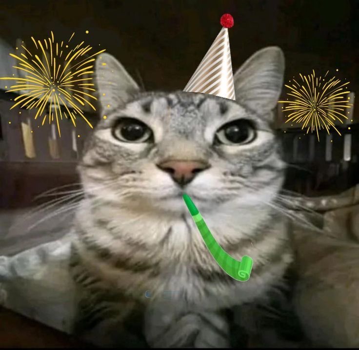 @melting tweet media