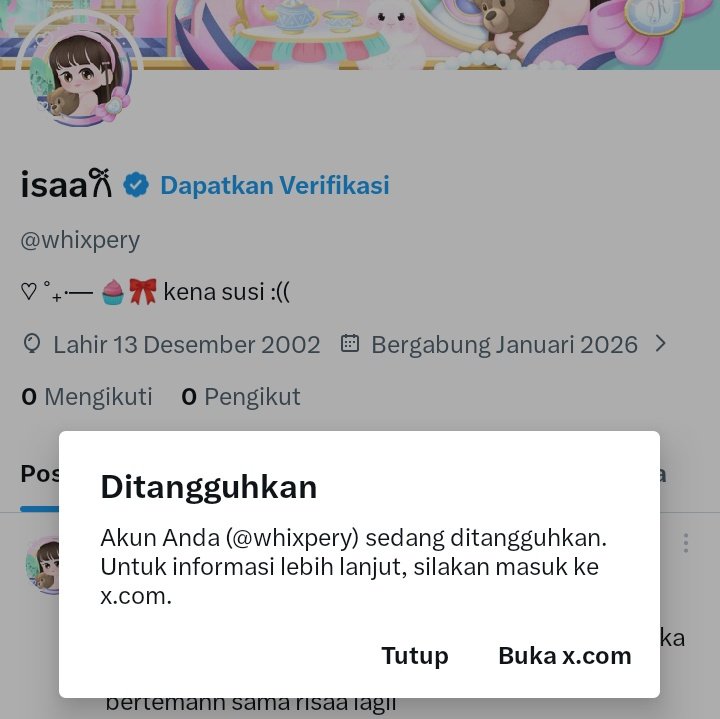 risaa 1/6M tweet media