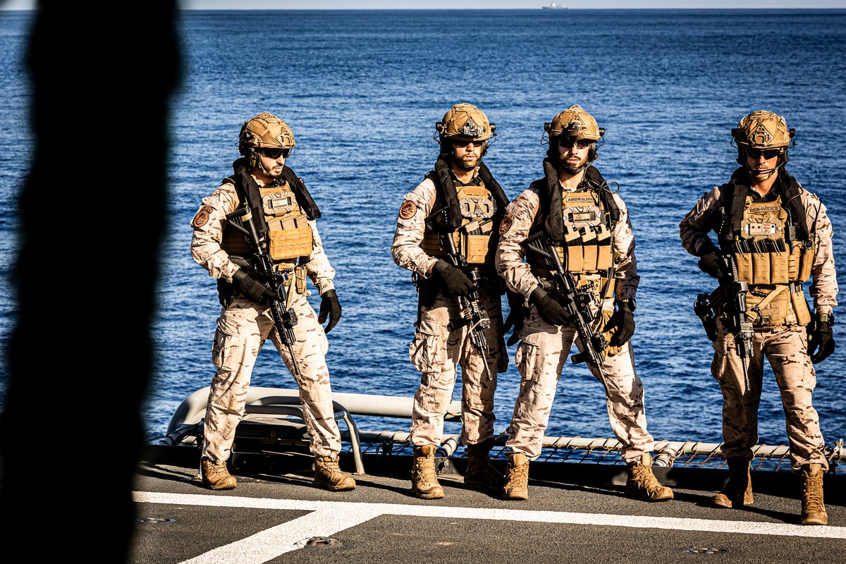 Ministerio Defensa tweet media