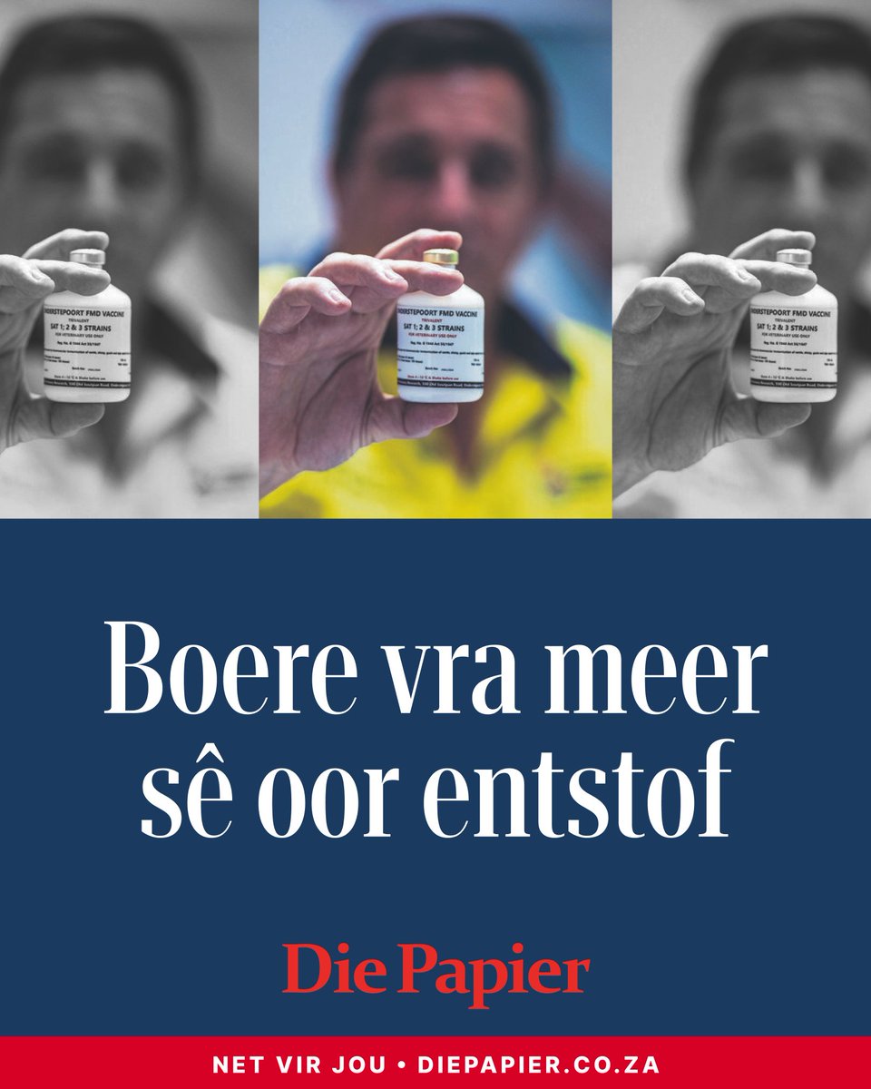 Die Papier tweet media