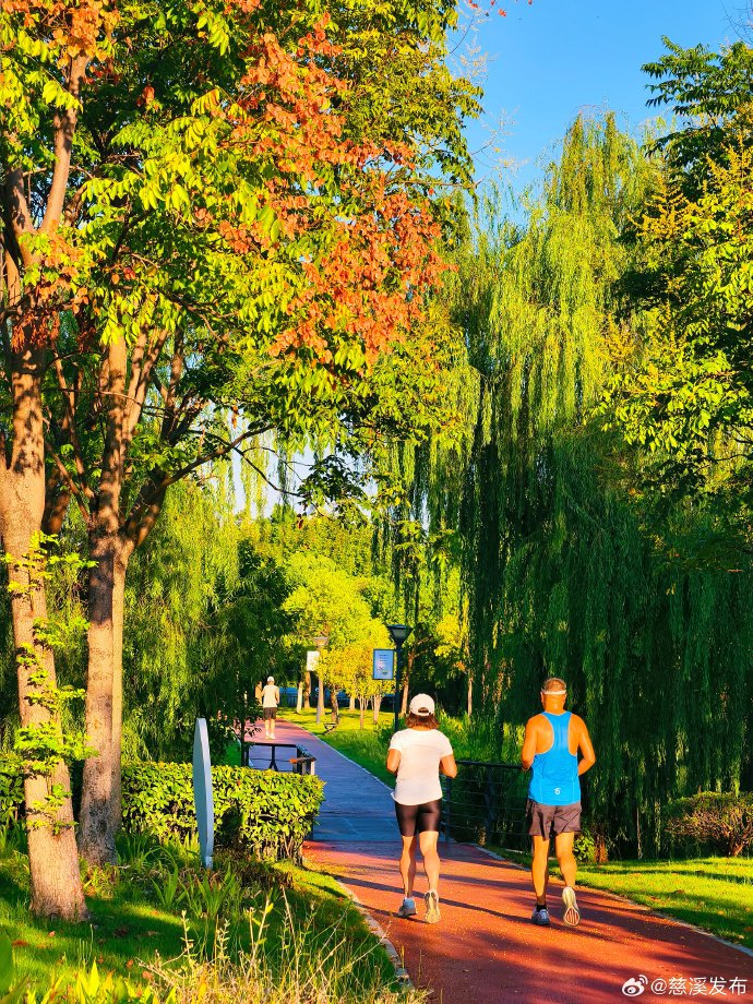 Philips m. Edeh tweet media