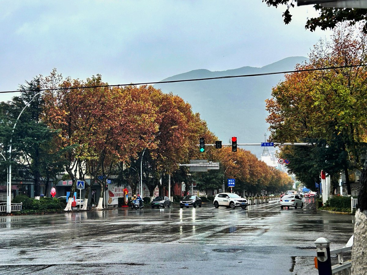 William Thorne tweet media