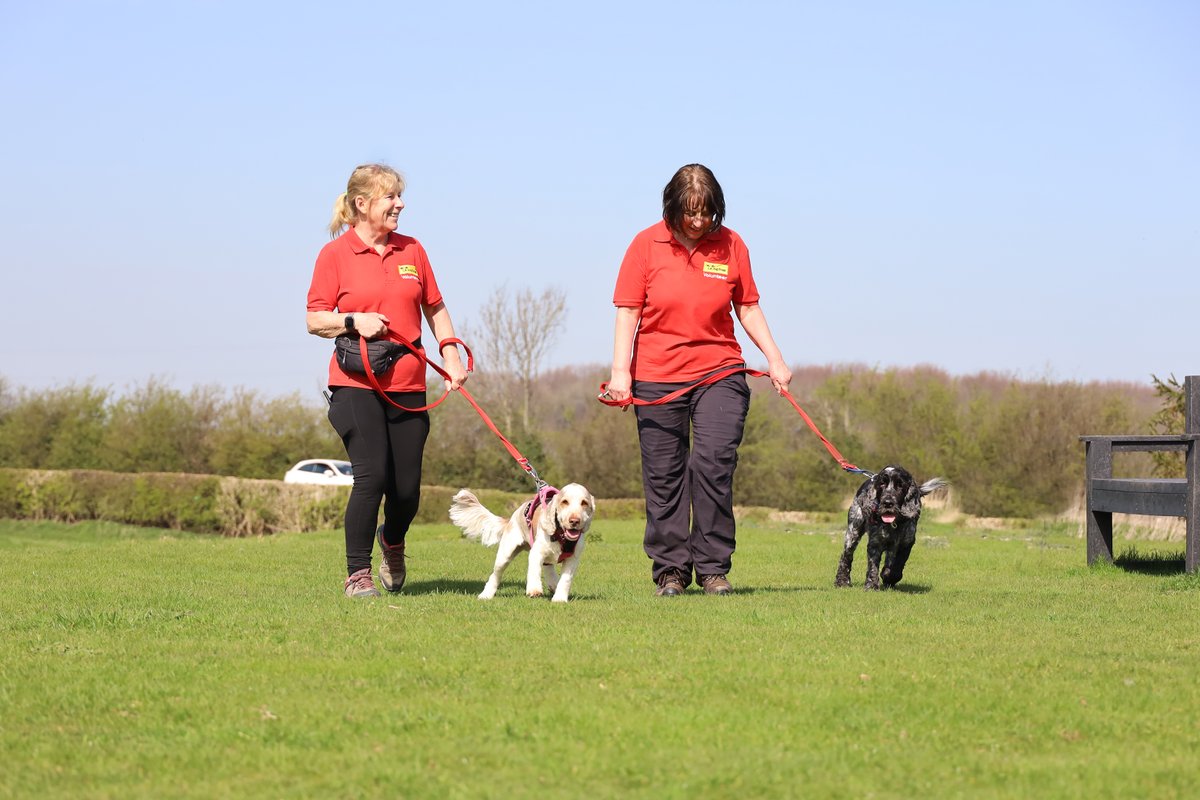 Dogs Trust Leeds tweet media