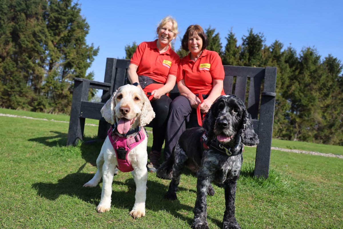 Dogs Trust Leeds tweet media