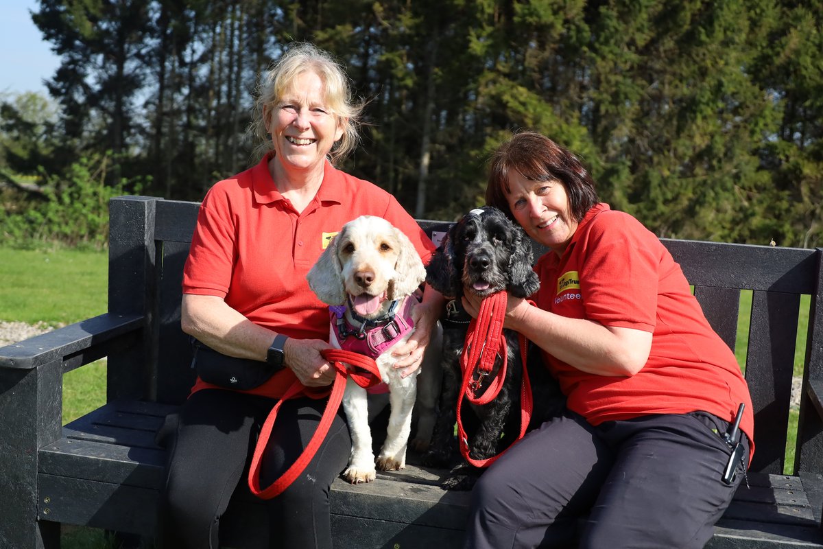 Dogs Trust Leeds tweet media