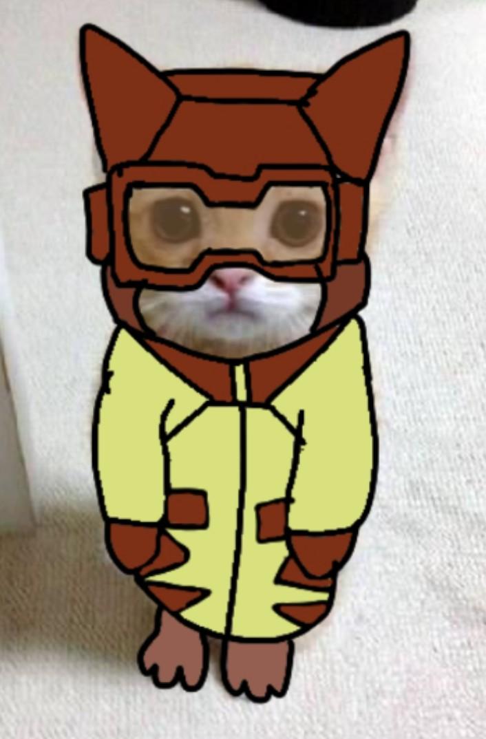 ✶⋆.° · tweet media