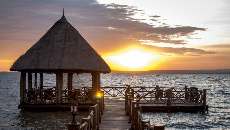 Kenyan Fever🥶♥️ tweet media