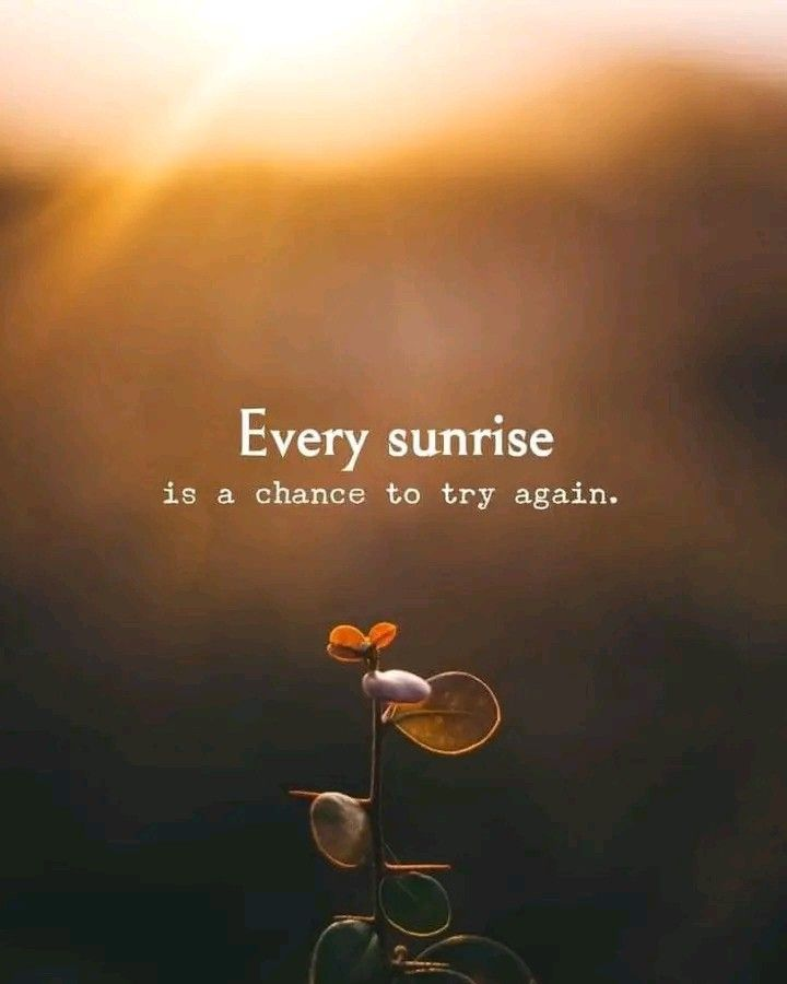 SomeWhatAli tweet media