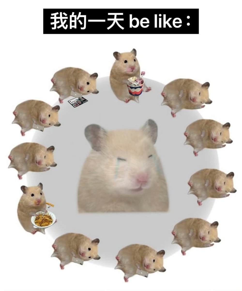 就在今天吧 tweet media