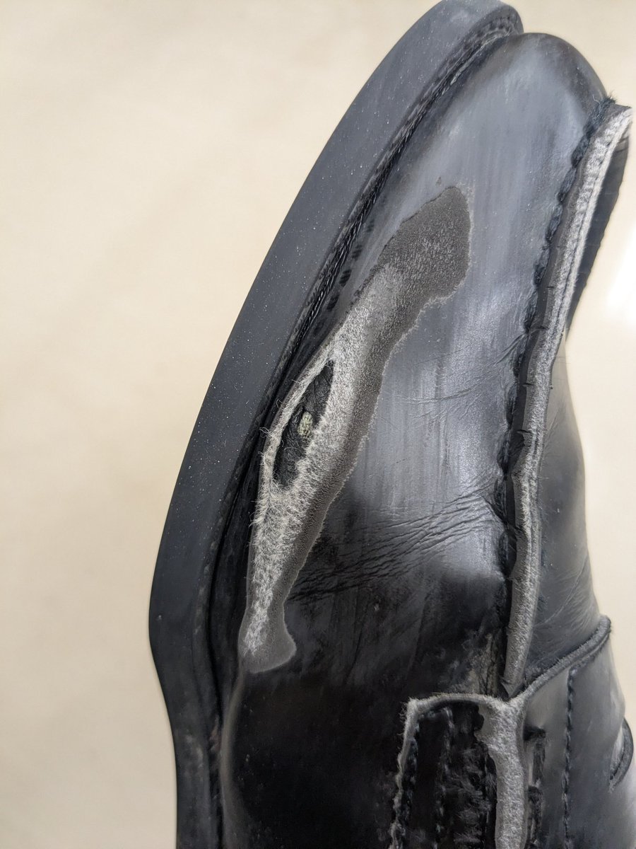 まりも tweet media