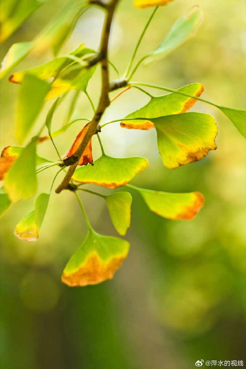 Ragha Vendra tweet media