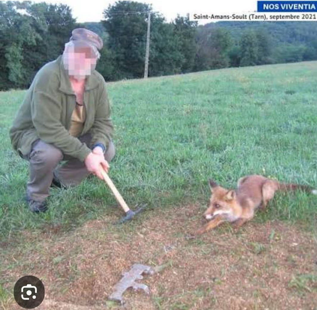 Adea Claude tweet media