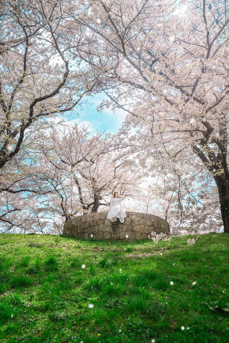 Yuu Ayato tweet media