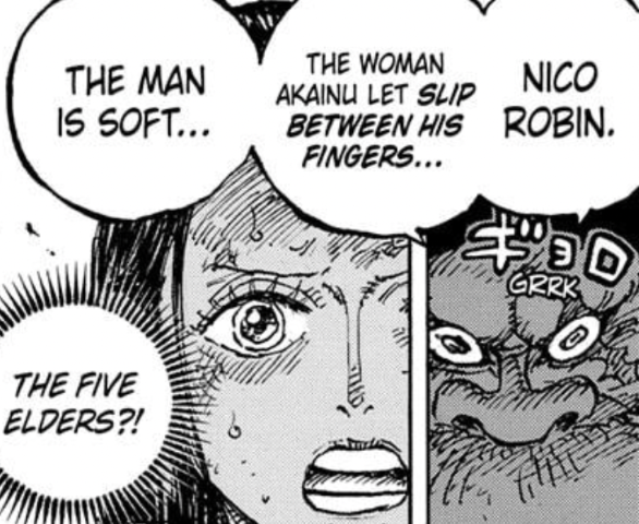 Never forget our lord and saviour Akainu not only let Robin survive ...