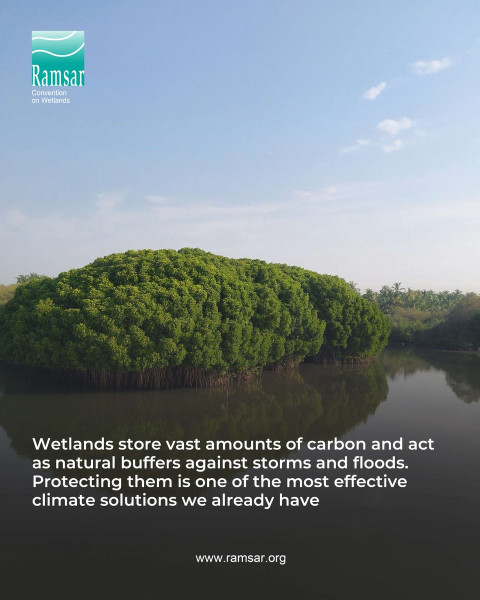 Convention on Wetlands tweet media