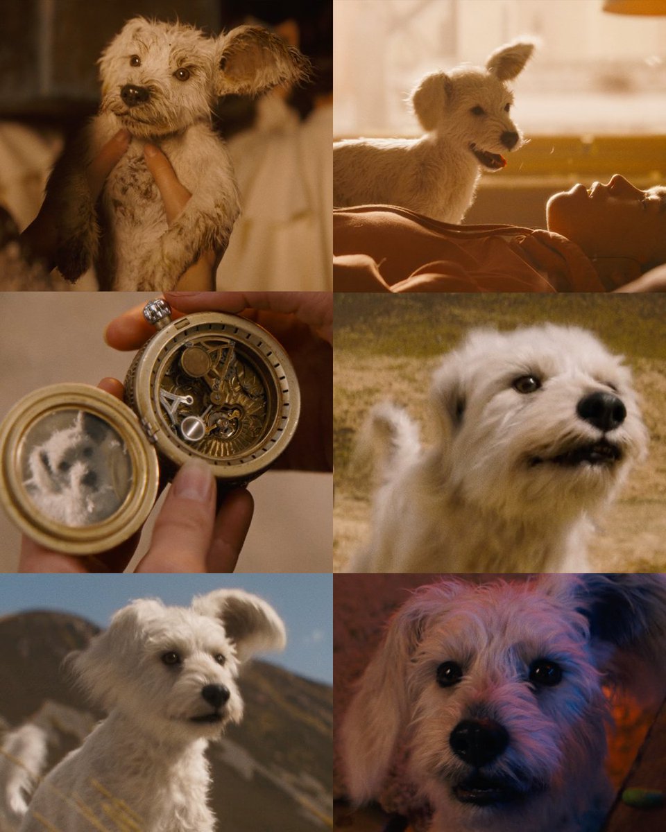 DC Legacy tweet media