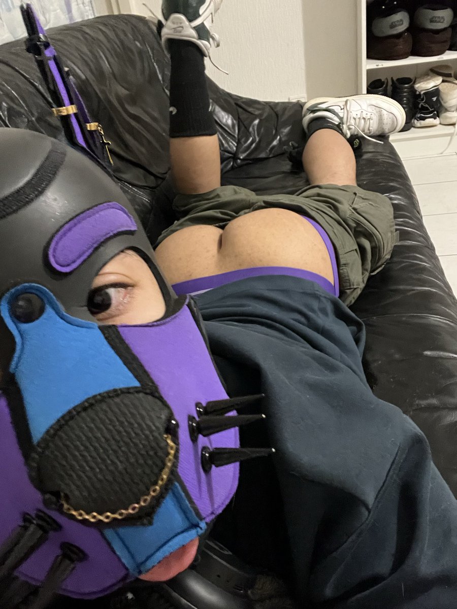 pup Dusk tweet media