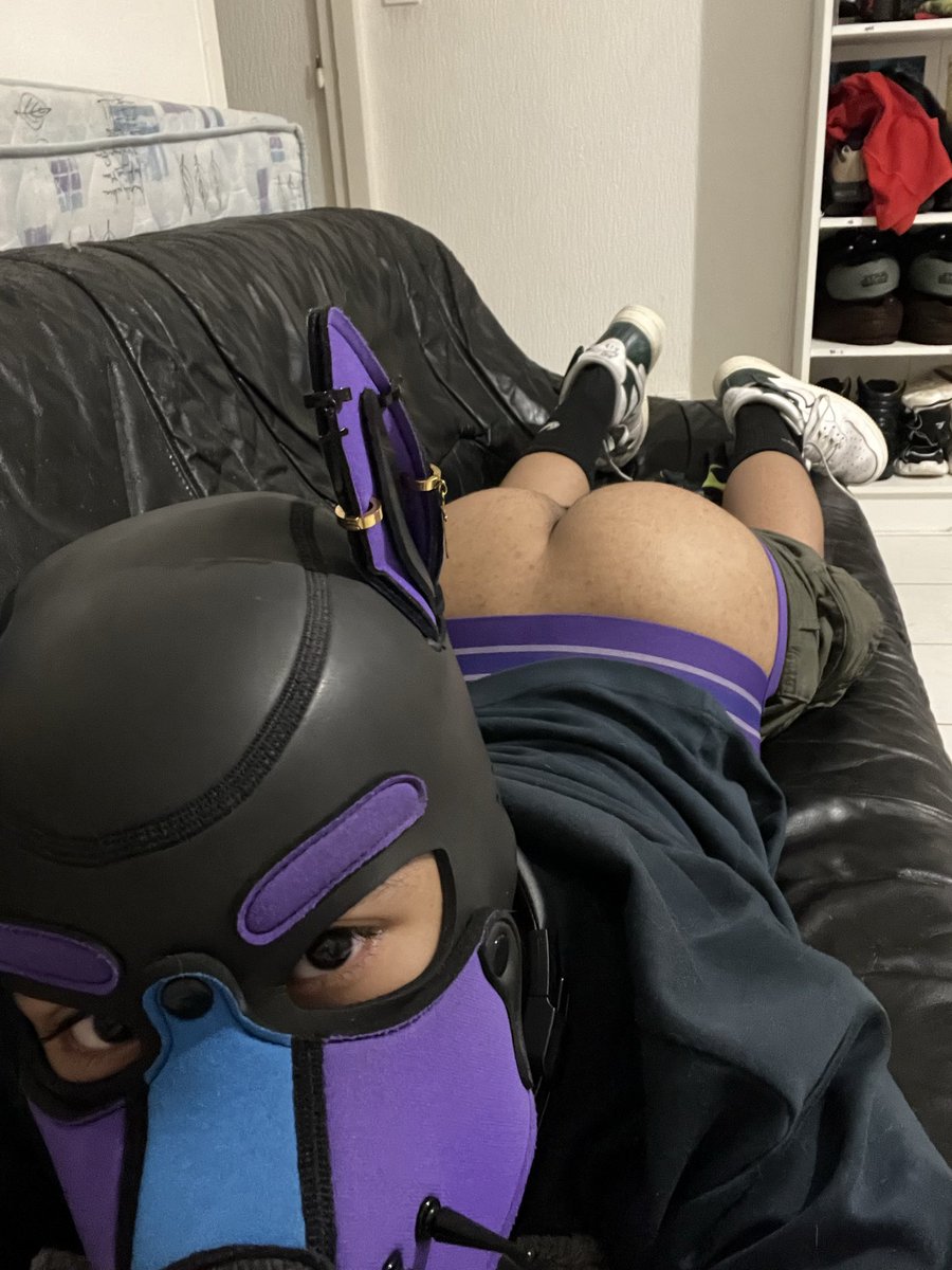 pup Dusk tweet media