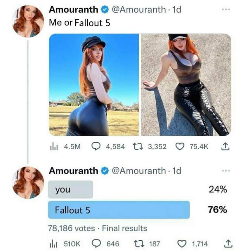 Fallout Hub tweet media