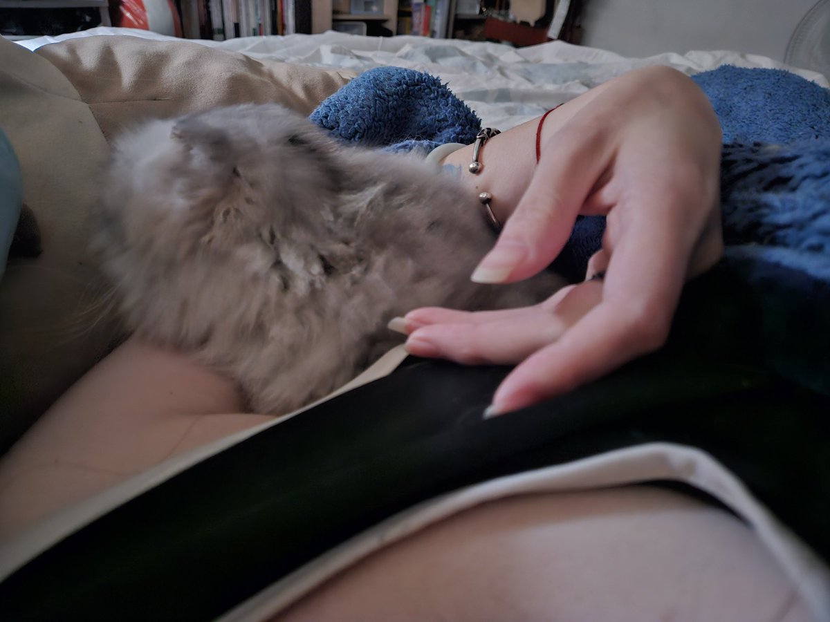 ༺狐妃2.0▪️請叫我大小姐༊*·˚ tweet media