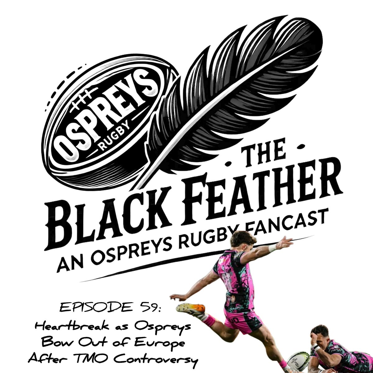 The Black Feather: An Ospreys Rugby Fancast tweet media