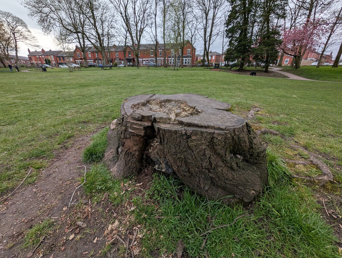 Jean Reynard tweet media