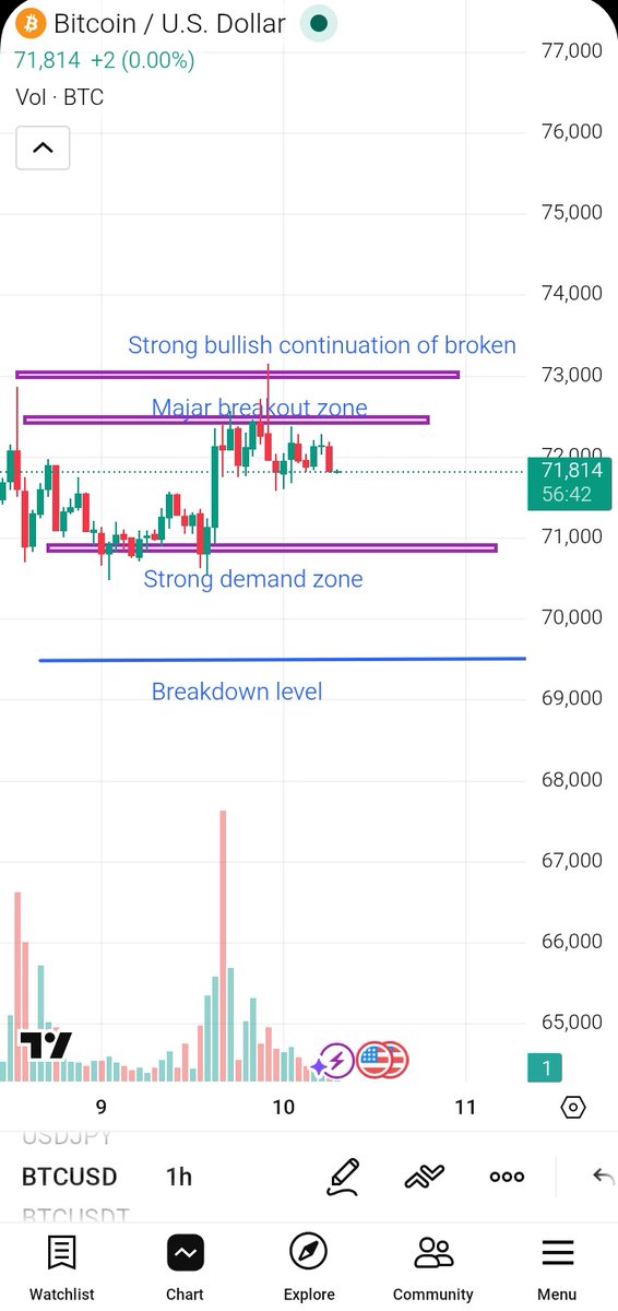 marlina trader tweet media