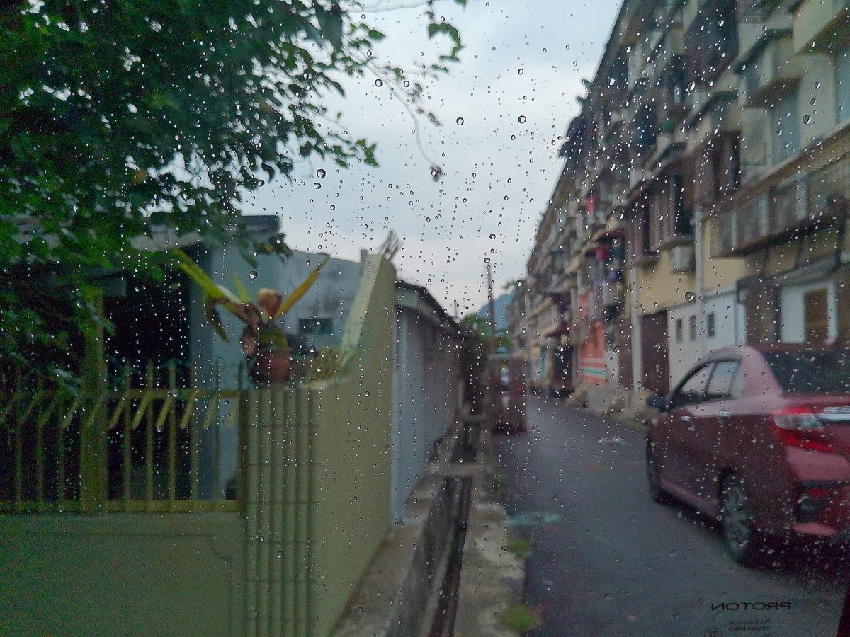 ѕαяα ѕєαωєє∂ 🎀 tweet media