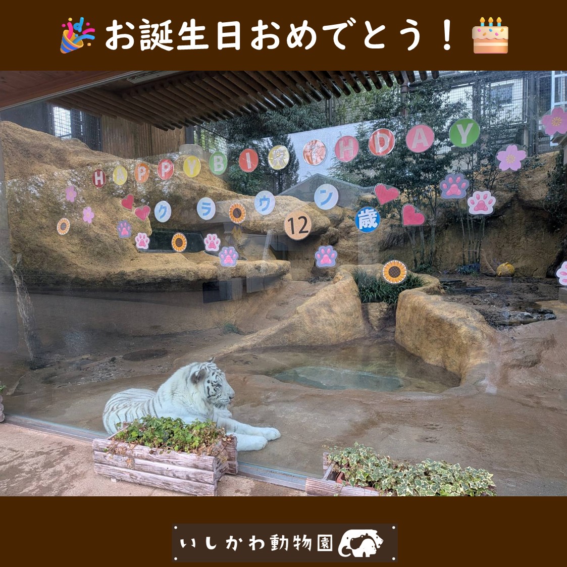 いしかわ動物園【公式】 tweet media