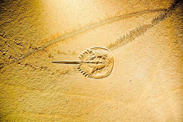 Diane Carter tweet media