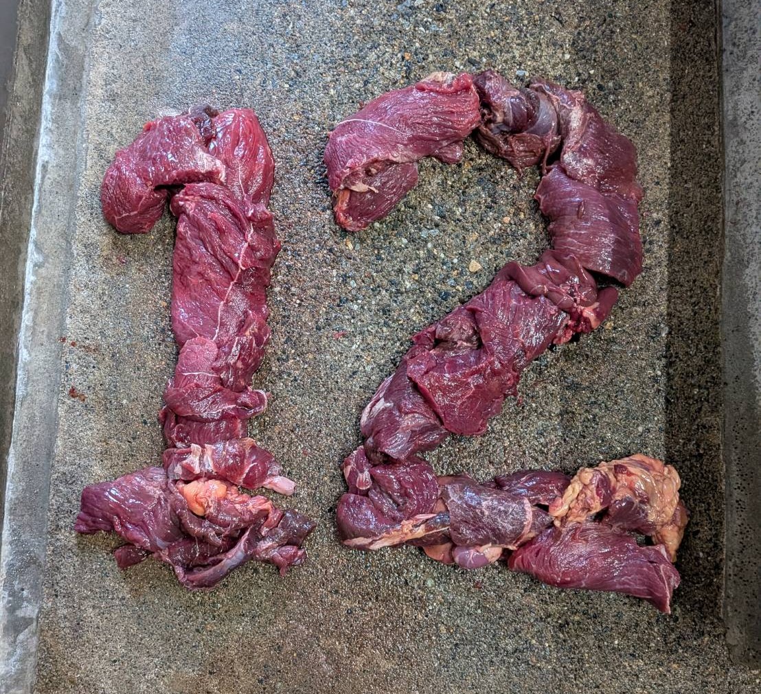 いしかわ動物園【公式】 tweet media