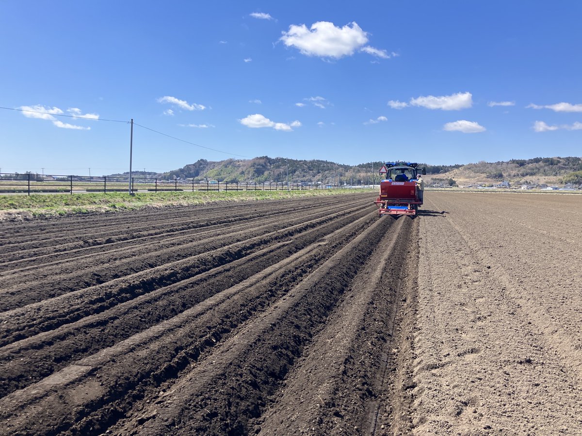 CalbeePotato(カルビーポテト)公式 tweet media