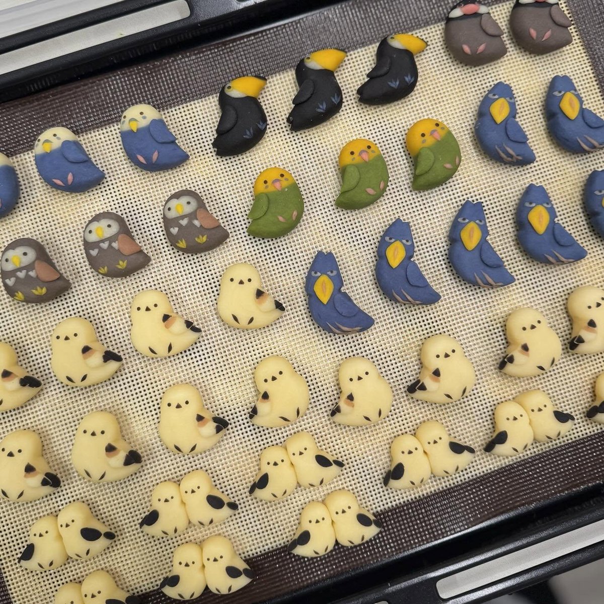 鉄腕バッシー tweet media