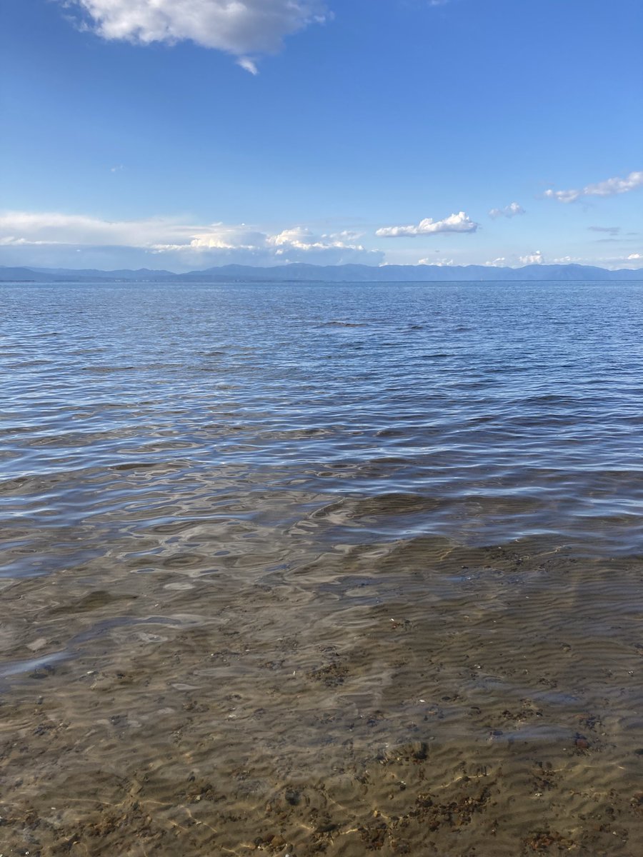 なてす。 tweet media