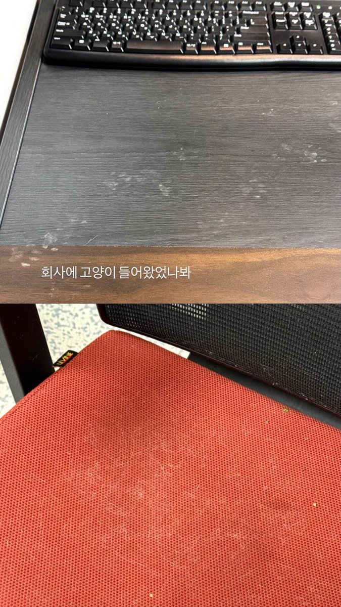 無 𖤣𖥧𖥣｡𖤣 tweet media