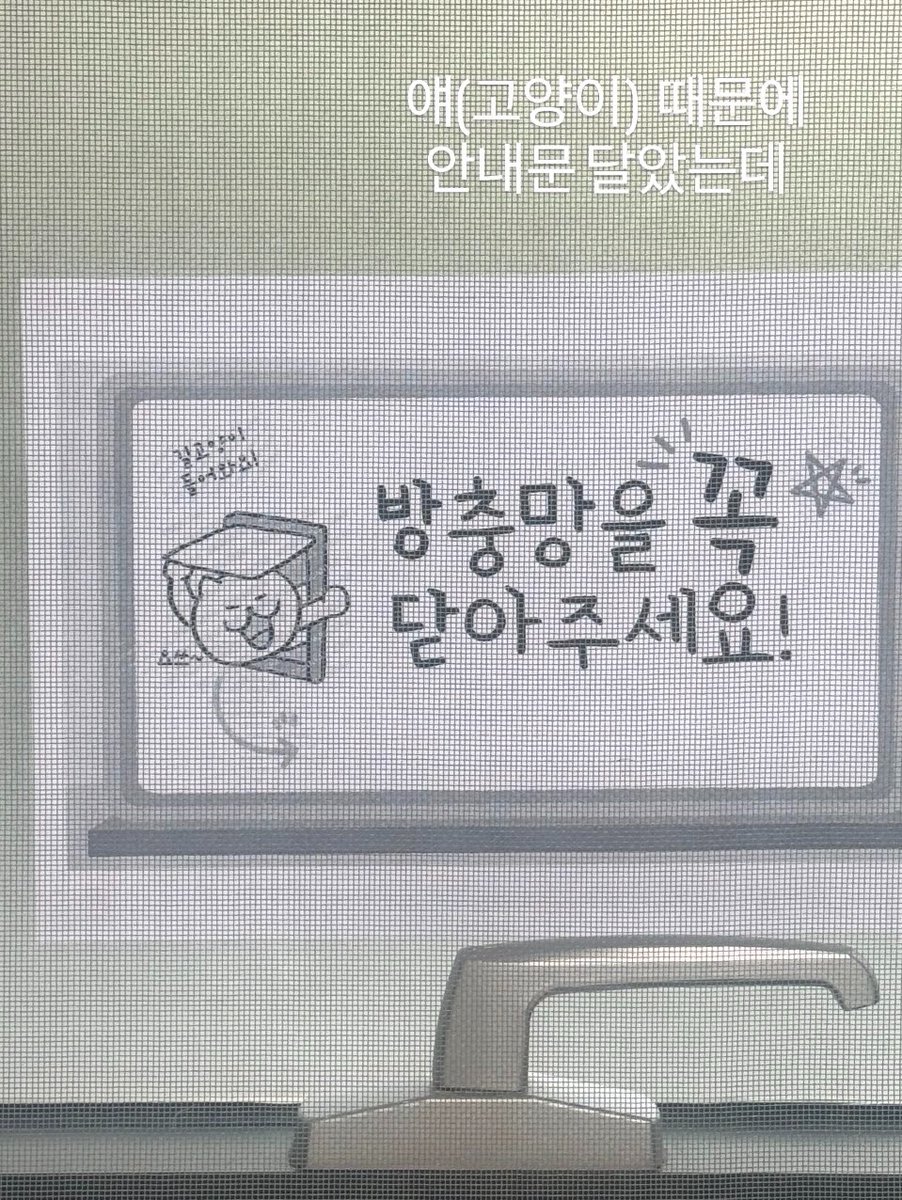 無 𖤣𖥧𖥣｡𖤣 tweet media