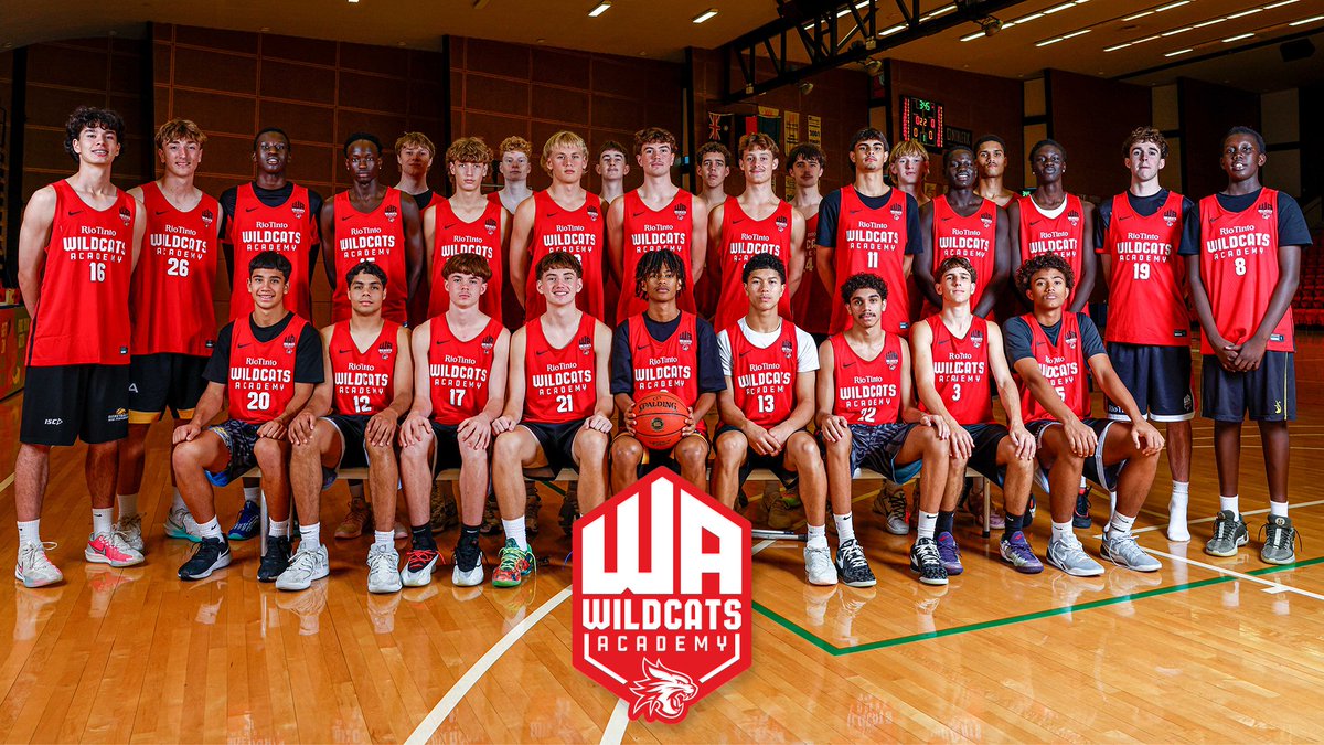 Perth Wildcats tweet media