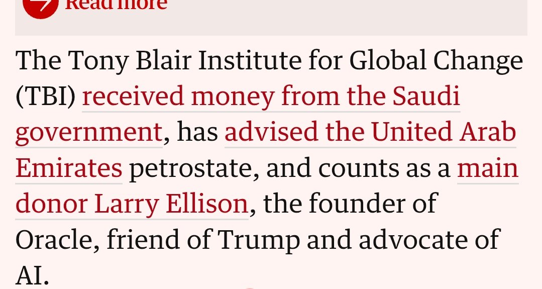 Daniela Gabor tweet media