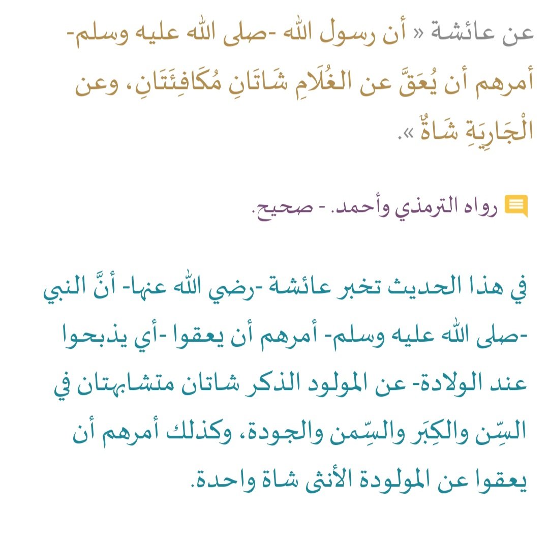 السيره النبويه tweet media