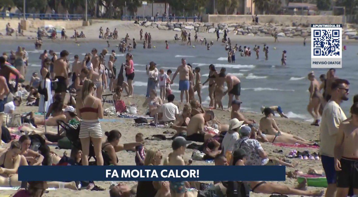 Jose Tomás tweet media