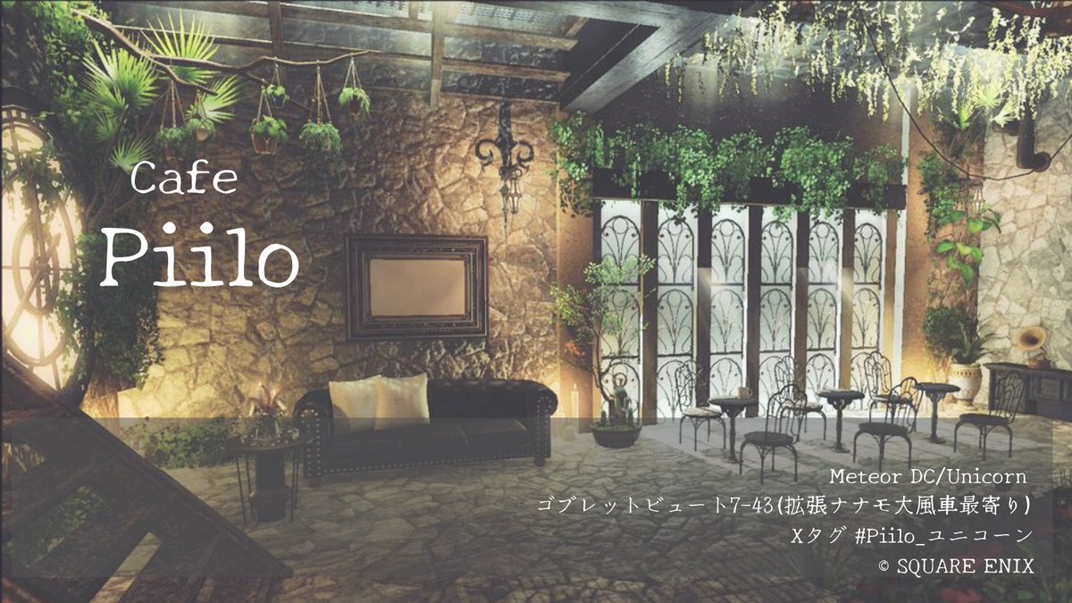 あーにゃん🍅 tweet media