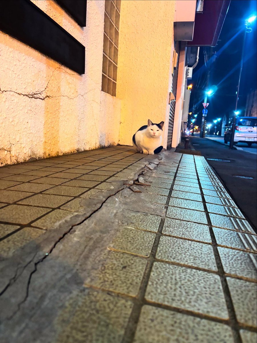 BAR 火星ツイスト tweet media