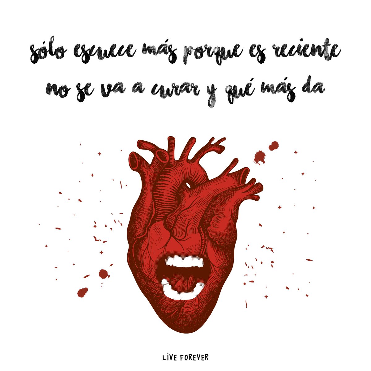 Live Forever tweet media