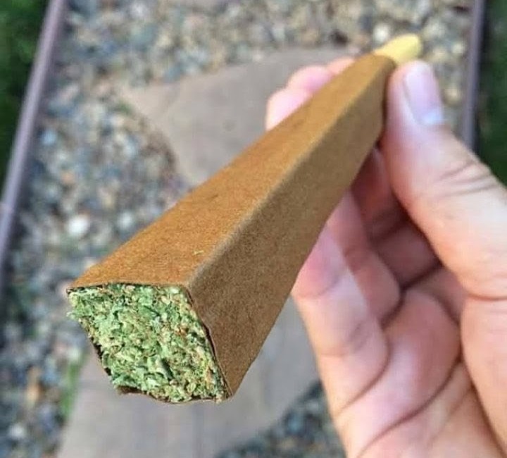 Artek Swaróg🌿💨🇵🇱 tweet media