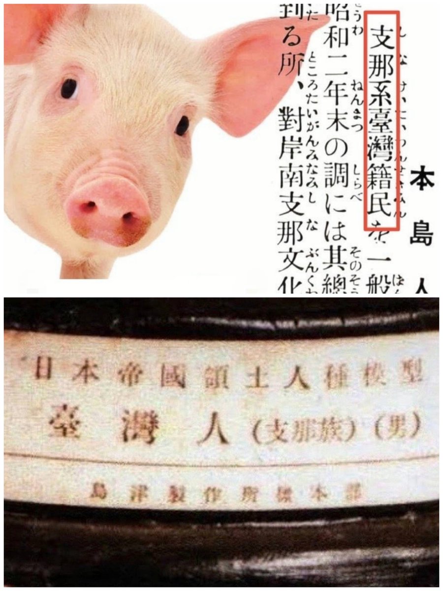 frankcssmy's tweet photo. @Yenwei_OUO @acoustichouse16 @YT9763064019541 哈哈哈，岛蛙的逻辑真是幽默到家了～拼命把自己想从日本爹那里洗白出来～告诉我中华冥国目前在哪里执政？岛蛙纪年今年是冥国一百多少年？这纪年都还没切断呢，你就自己发明个二战前二战后来做切割？哈哈哈哈哈哈，岛蛙从日据时期就有这个台支的荣誉称号了，赶紧回去补历史吧🤣🤣🤣🤡🤡🤡 https://t.co/WgCC8YT6wU