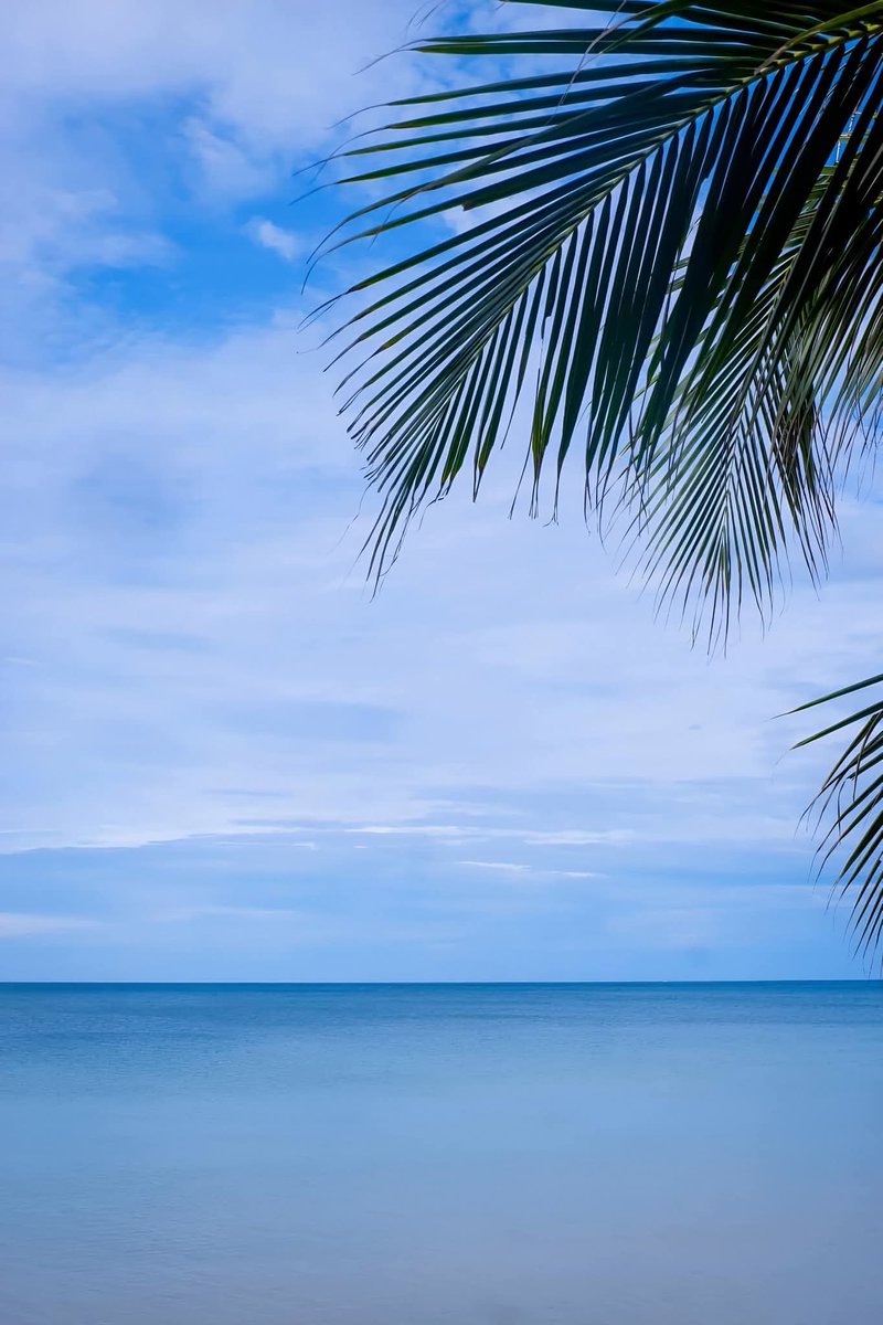 Tanu Trai. tweet media