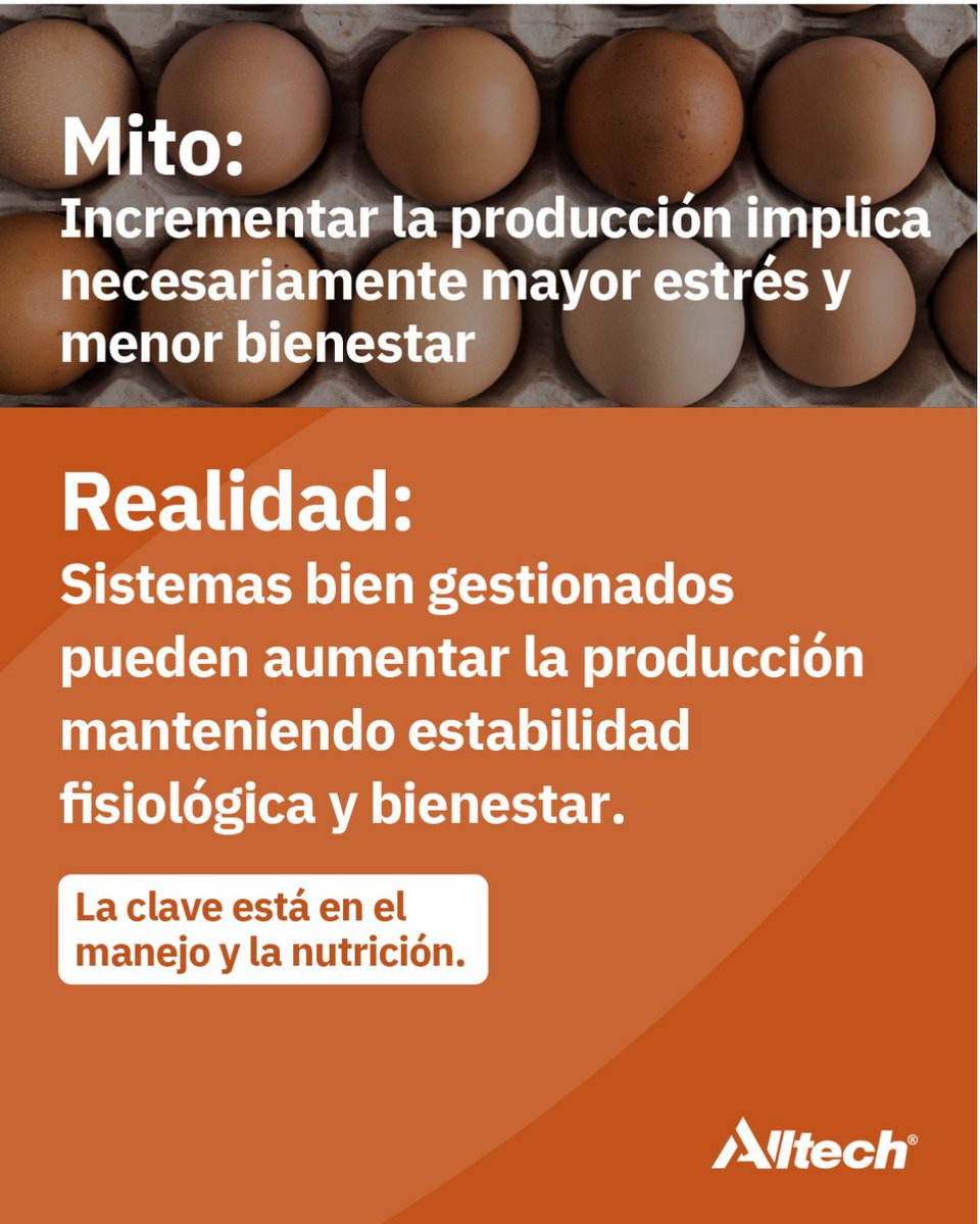 Alltech Spain tweet media