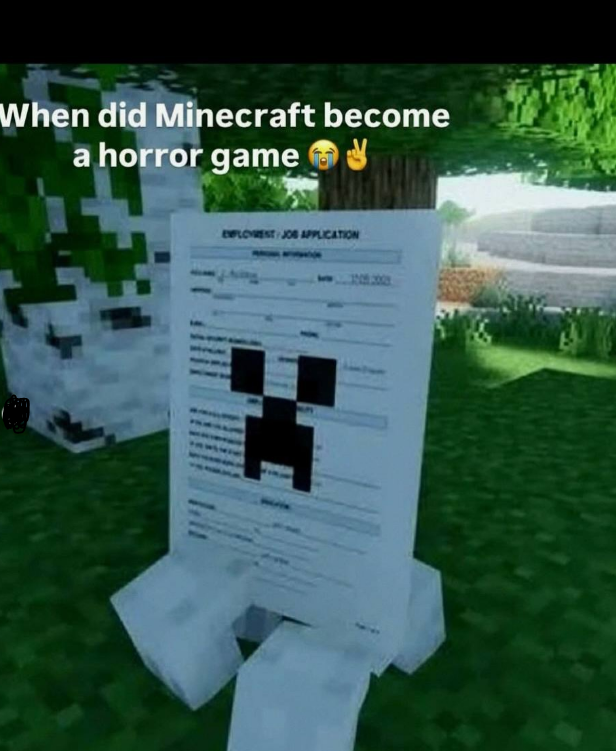 Minecraft Memes ⛏️ tweet media